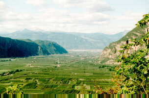 Auer: The "Etschtal"-valley towards Bozen is an immense apple-plantage