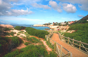 Boulders Beach penguin colony boardwalk