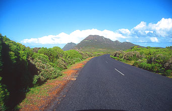 Cape Town Cape of Good Hope Nature Reserve 1