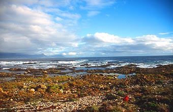 Cape Town Robben Island coastline 2