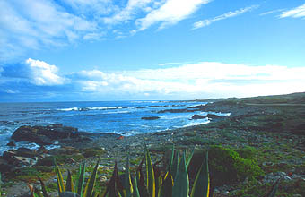 Cape Town Robben Island coastline