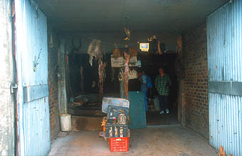 Cape Town Townships traditional healer herbs store