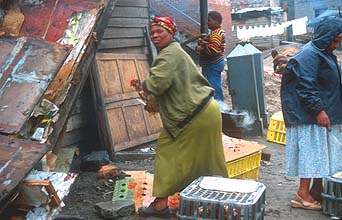 Cape Town Townships women preparing cooked chicken 2