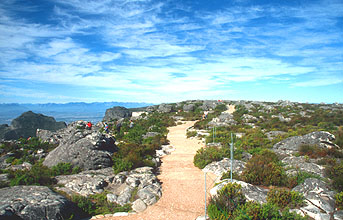 Cape Town walking path on top of Table Mountain