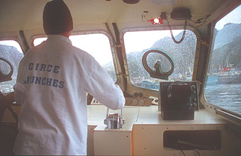 Hout Bay boat trip to Duiker Seal Island 1