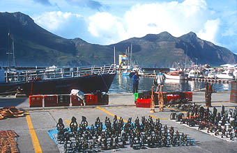 Hout Bay harbour market 1